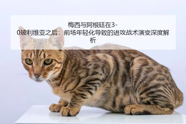 mei-xi-yu-a-gen-ting-zai-bo-li-wei-ya-zhi-hou-qian-chang-nian-qing-hua-dao-zhi-de-jin-gong-zhan-shu-yan-bian-shen-du-2-413.jpg